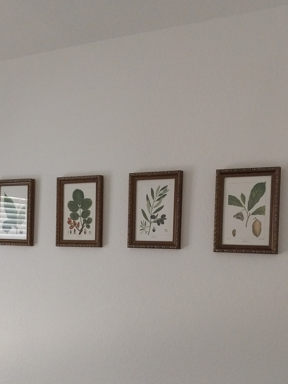Set of 4 Botanical Wall Art Prints